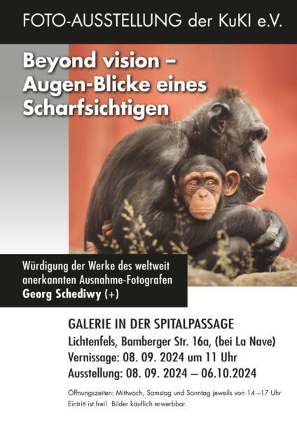 Fotoausstellung Georg Schediwy "Beyond visions - Augen-Blicke eines Scharfsichtigen" (08.09.-06.10.2024, Galerie in der Spitalpassage Lichtenfels)