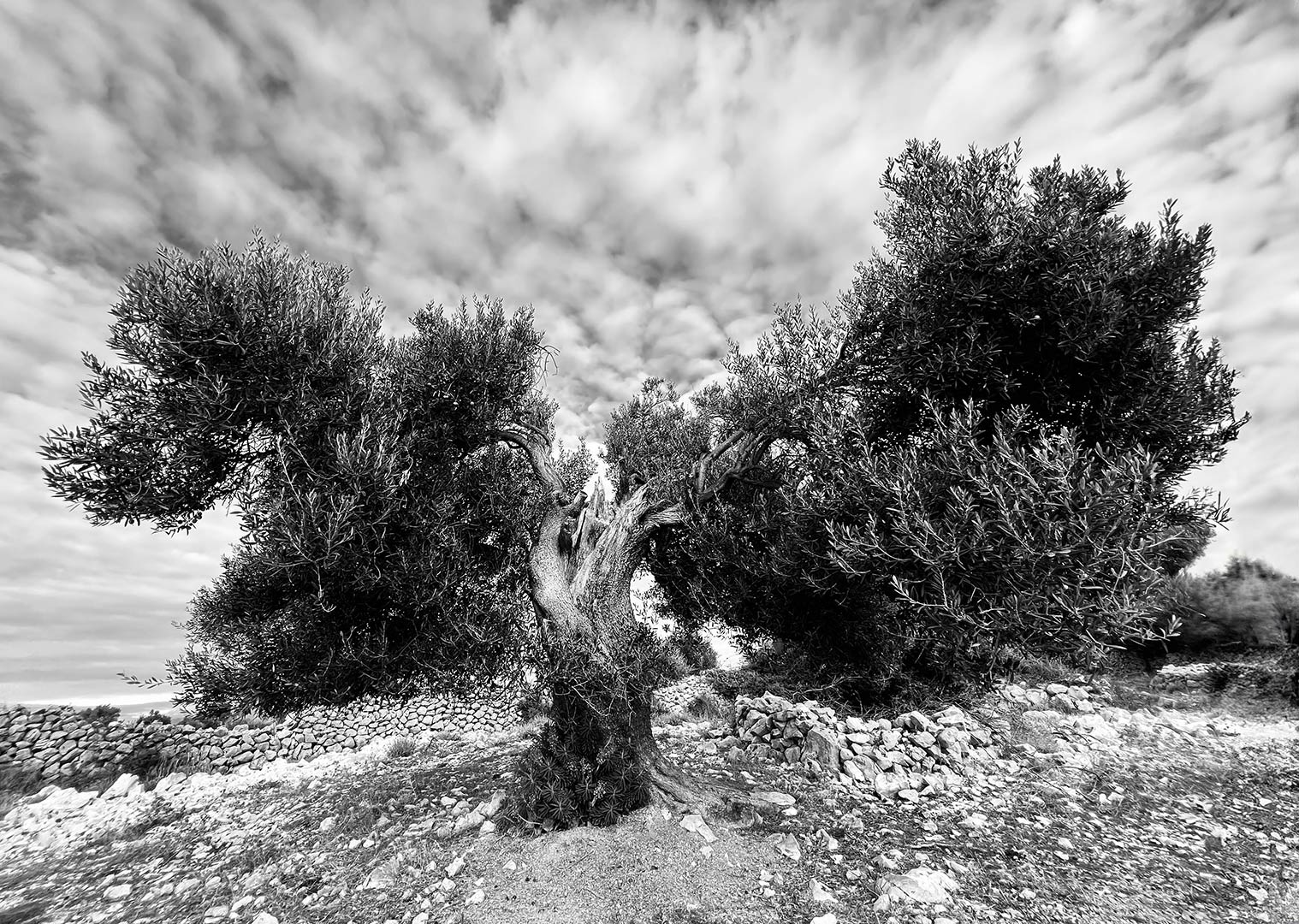 Fotoclub: Mappen/Kalender-Bilder