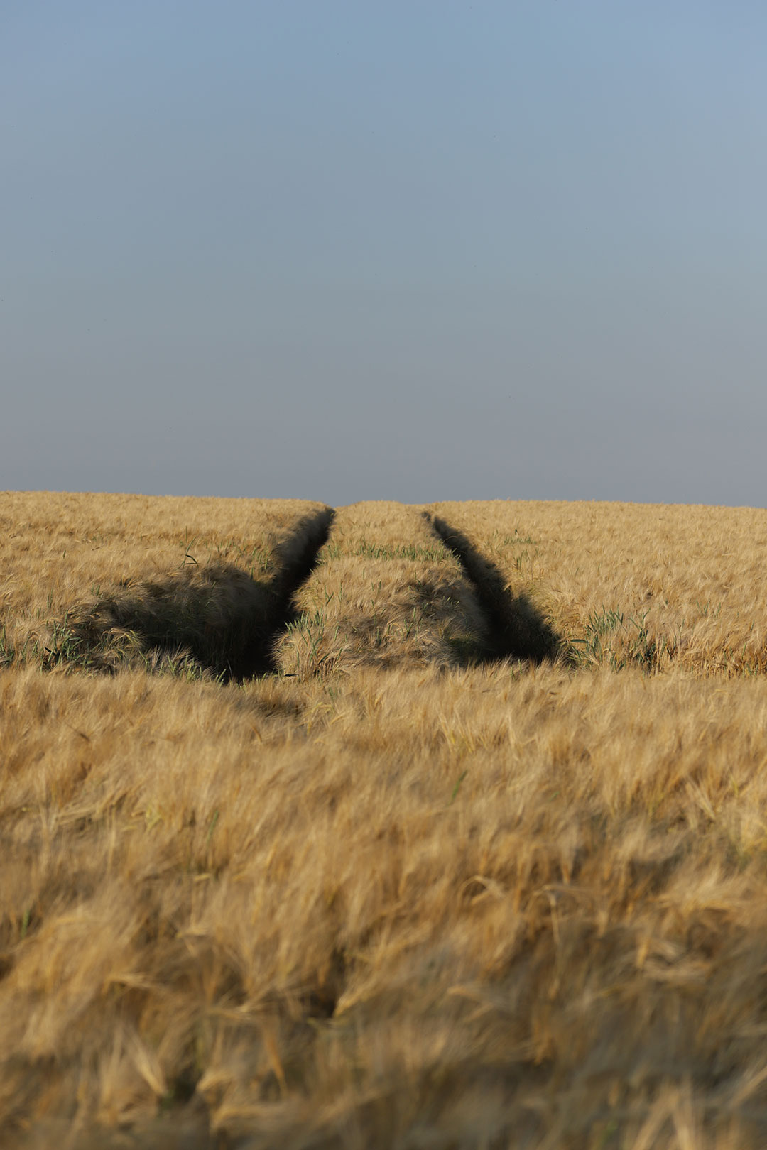 Fotoclub: Bild des Monats 12.2021