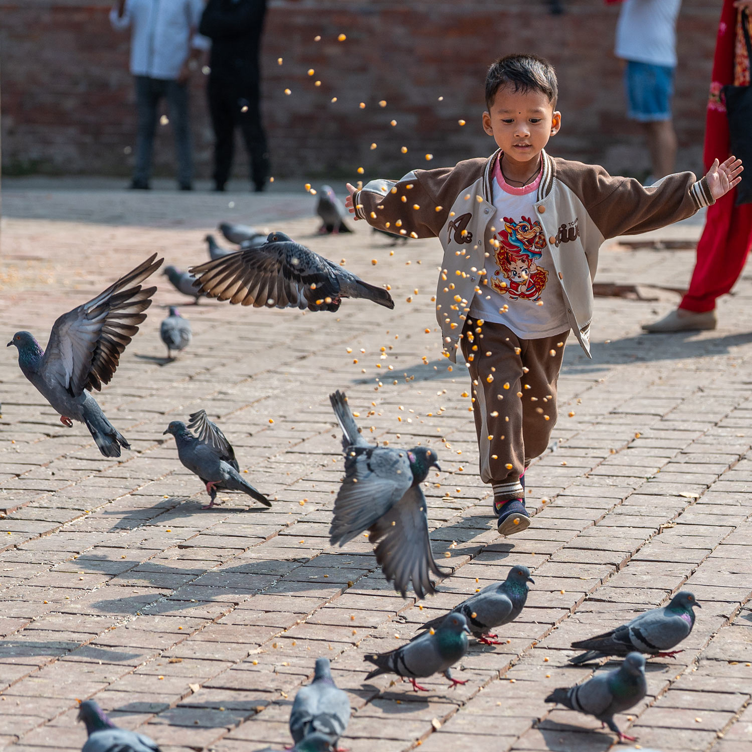 Fotoclub: Bild des Quartals 3.2025