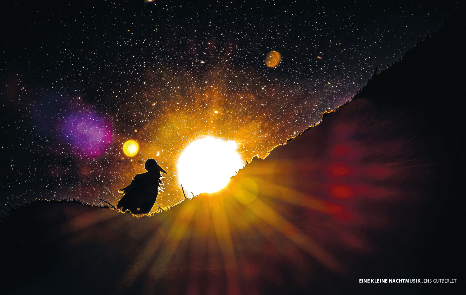Fotoclub: Bild des Monats 12.2021