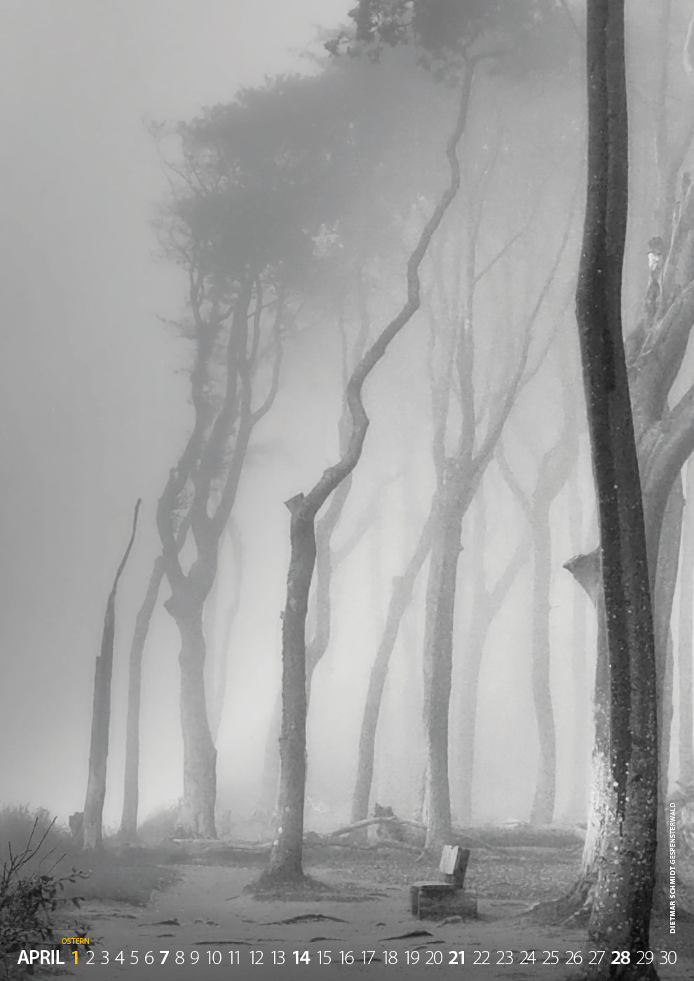 Gespensterwald (Foto: Dietmar Schmidt)