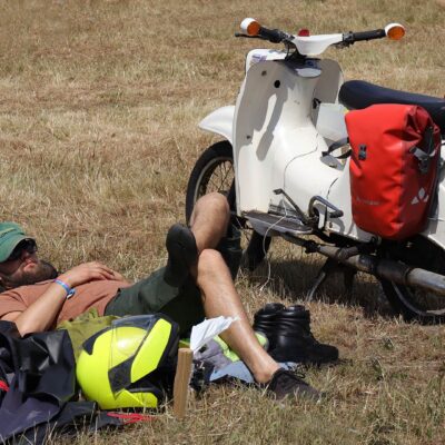 Eine Schwalbe macht doch Sommer (Foto: Claus Gebhardt)