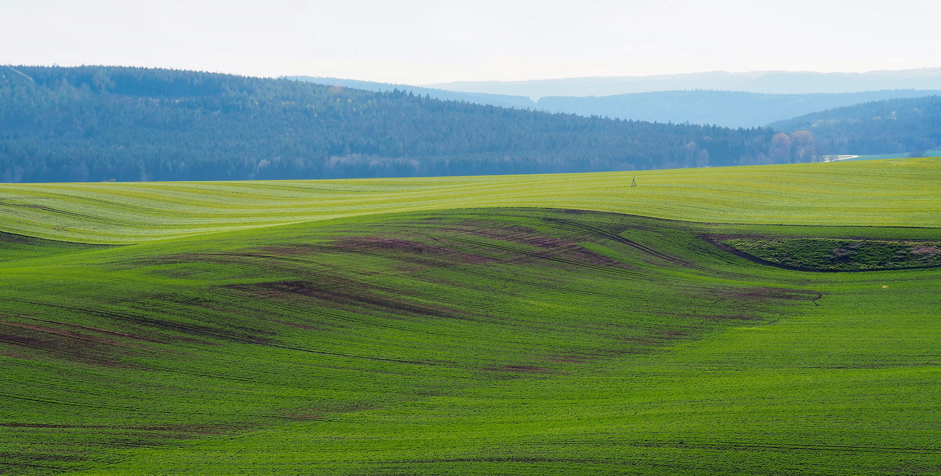Sommer-Fotoclub bei PMS