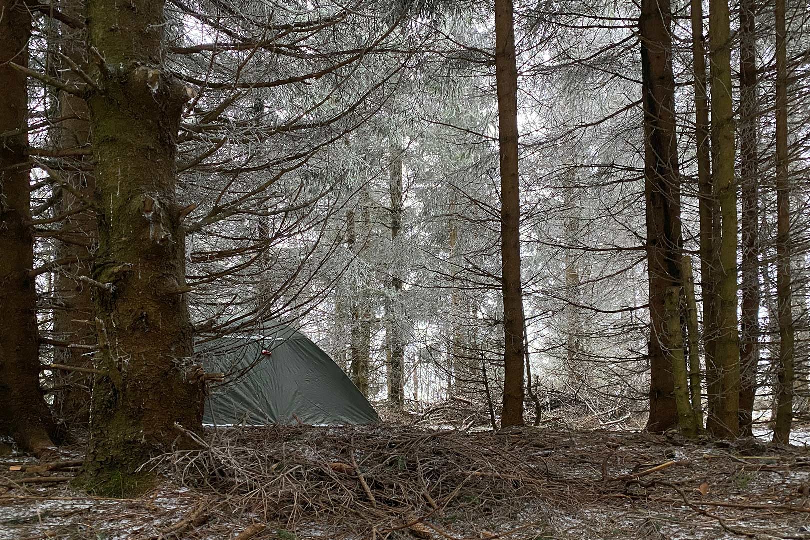2025-1-17-kleines-haus-im-wald-ak-4.67 Kleines Haus im Wald (Foto: Andreas Kuhrt)