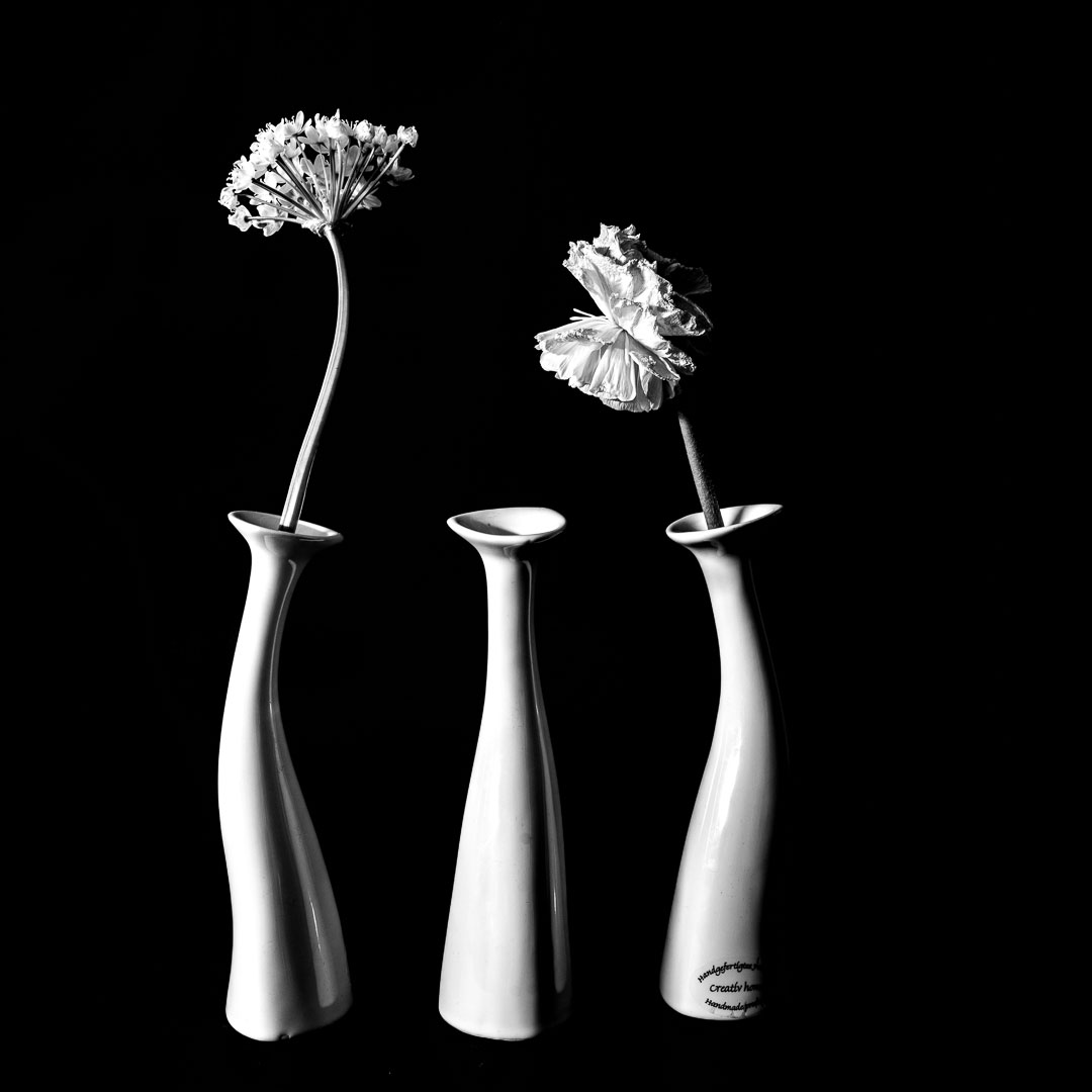 Fotoausstellung "Entdeckungen" Fotoclub Reflexion 90 Erfurt