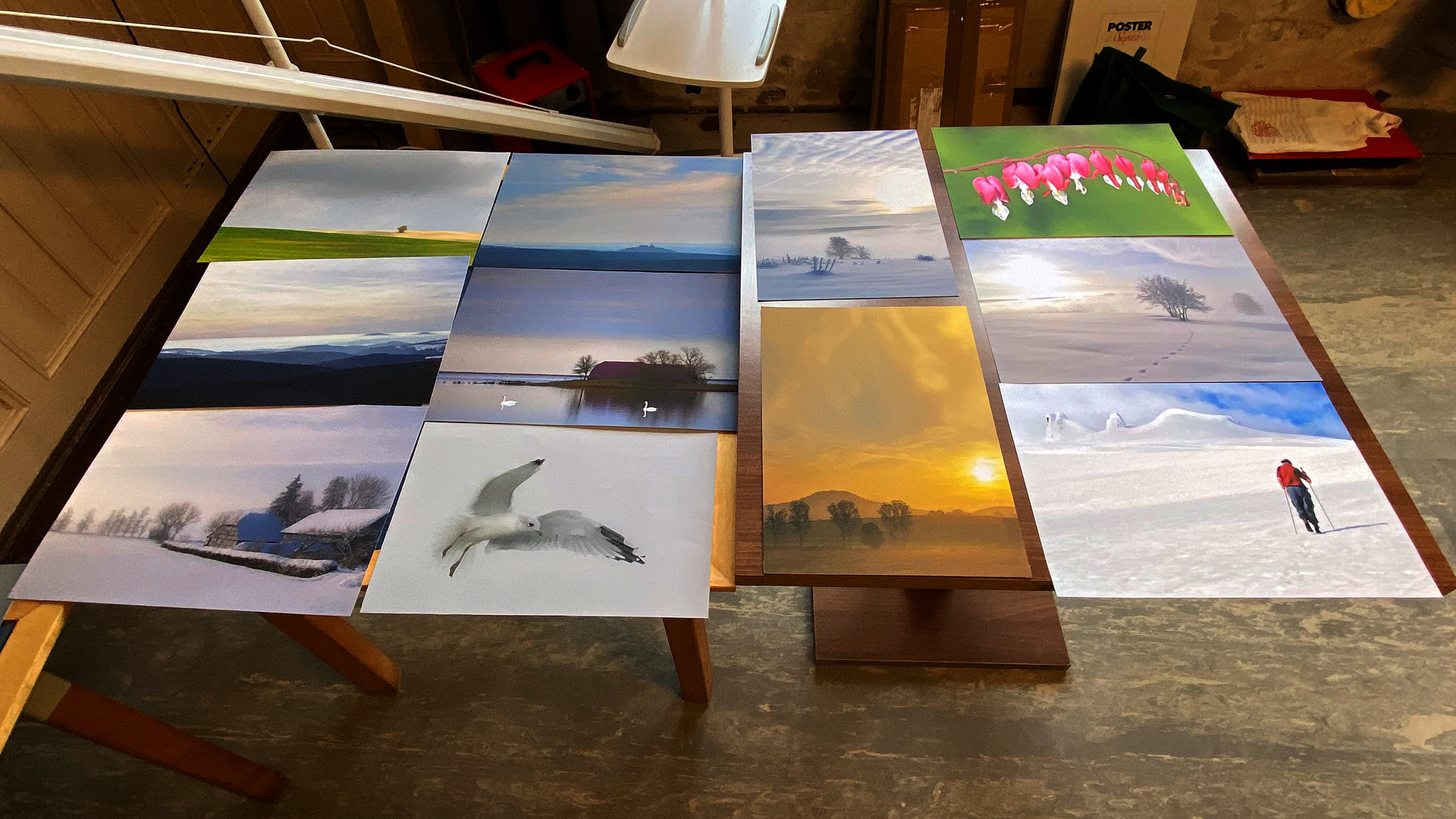 2025-10-18-poessneck-thueringer-fototag-rosengarten-IMG_8840ak 35. Thüringer Fototag Pößneck 18.10.2025: Rosengarten: Portfolios (Foto: Andreas Kuhrt)