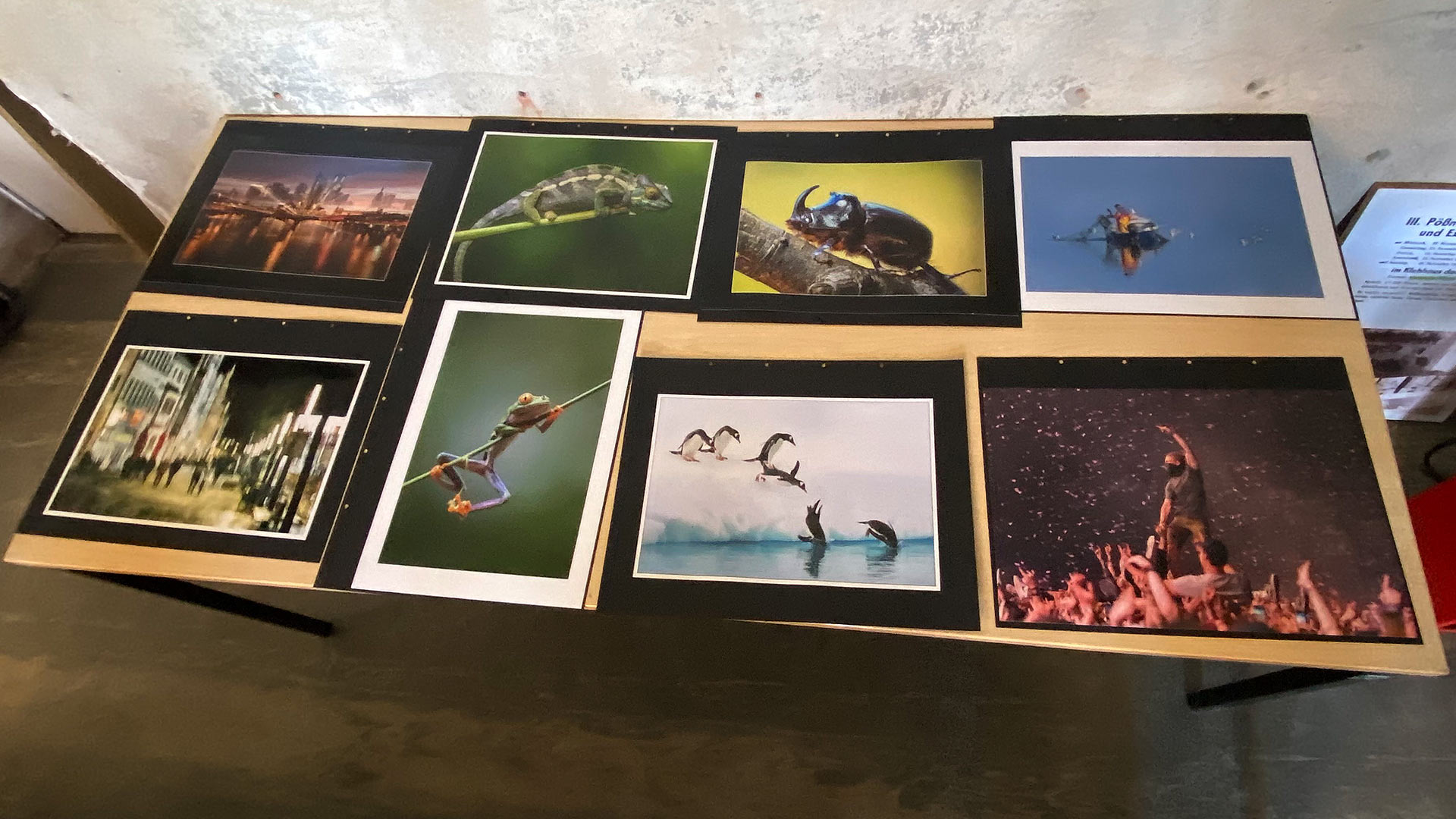 2025-10-18-poessneck-thueringer-fototag-rosengarten-IMG_8816ak 35. Thüringer Fototag Pößneck 18.10.2025: Rosengarten: Auswahl Mappenbilder (Foto: Andreas Kuhrt)