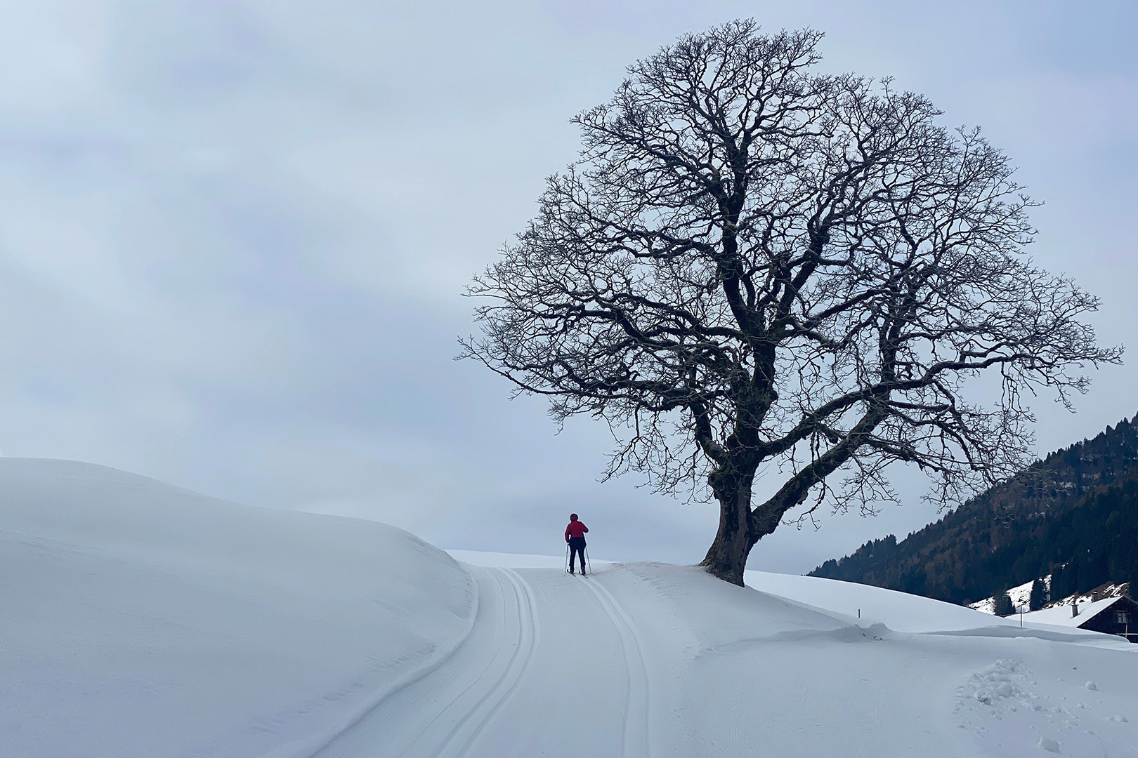 Damals (Foto: Andreas Kuhrt)