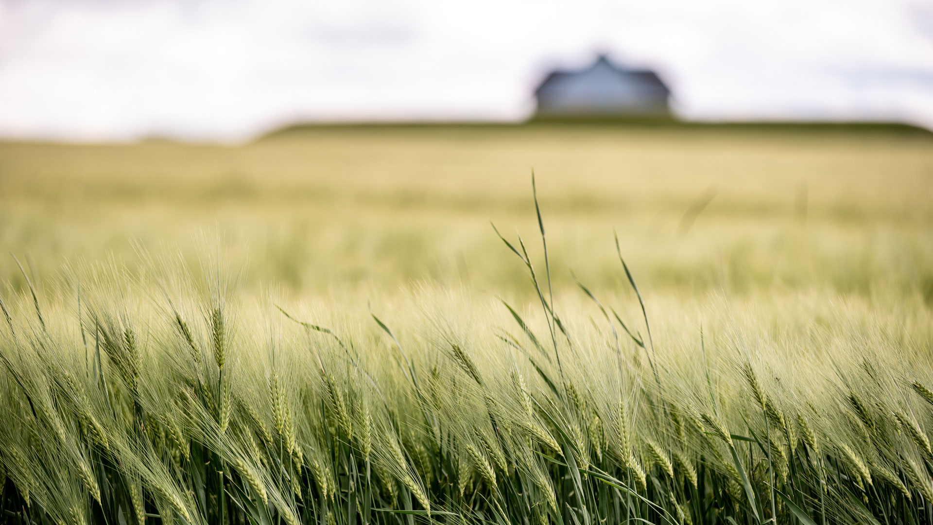 Kurzsichtig (Foto: Uli Pfeufer)