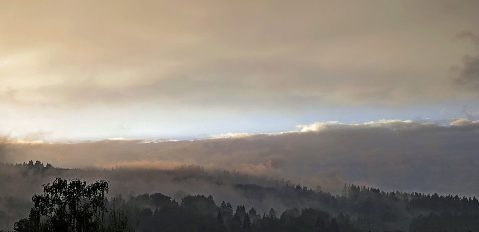 Nach dem Gewitter (Foto: Claus Gebhardt)