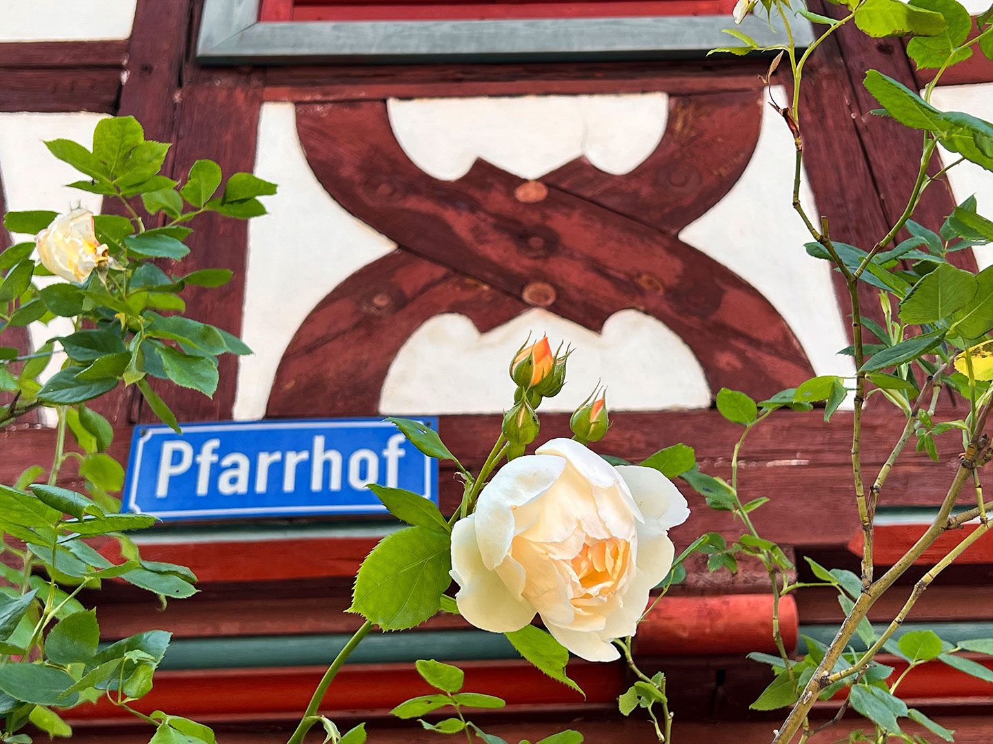 Fotoclub: Bild des Monats 5.2019