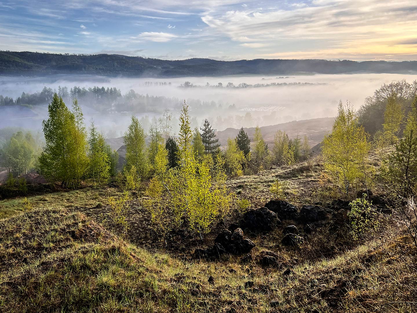 Südharzlandschaft (Foto: Manuela Hahnebach)