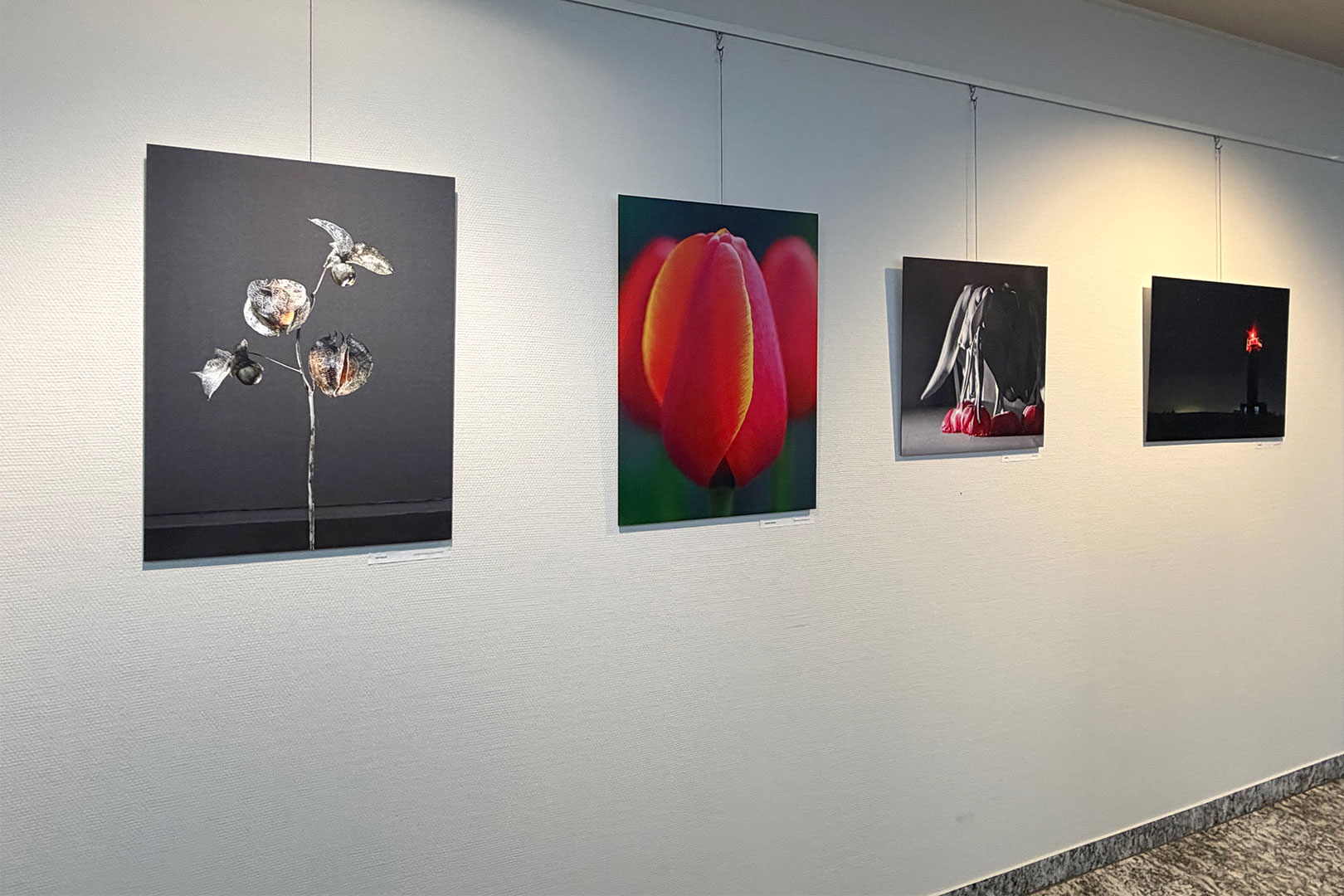 Fotoclubausstellung Schau! im Landratsamt Hildburghausen: Bilder 3