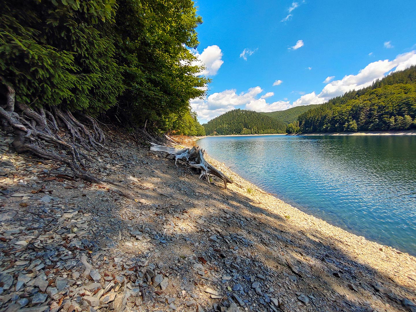 Karibisches Flair (Foto: Michael Stürtz)