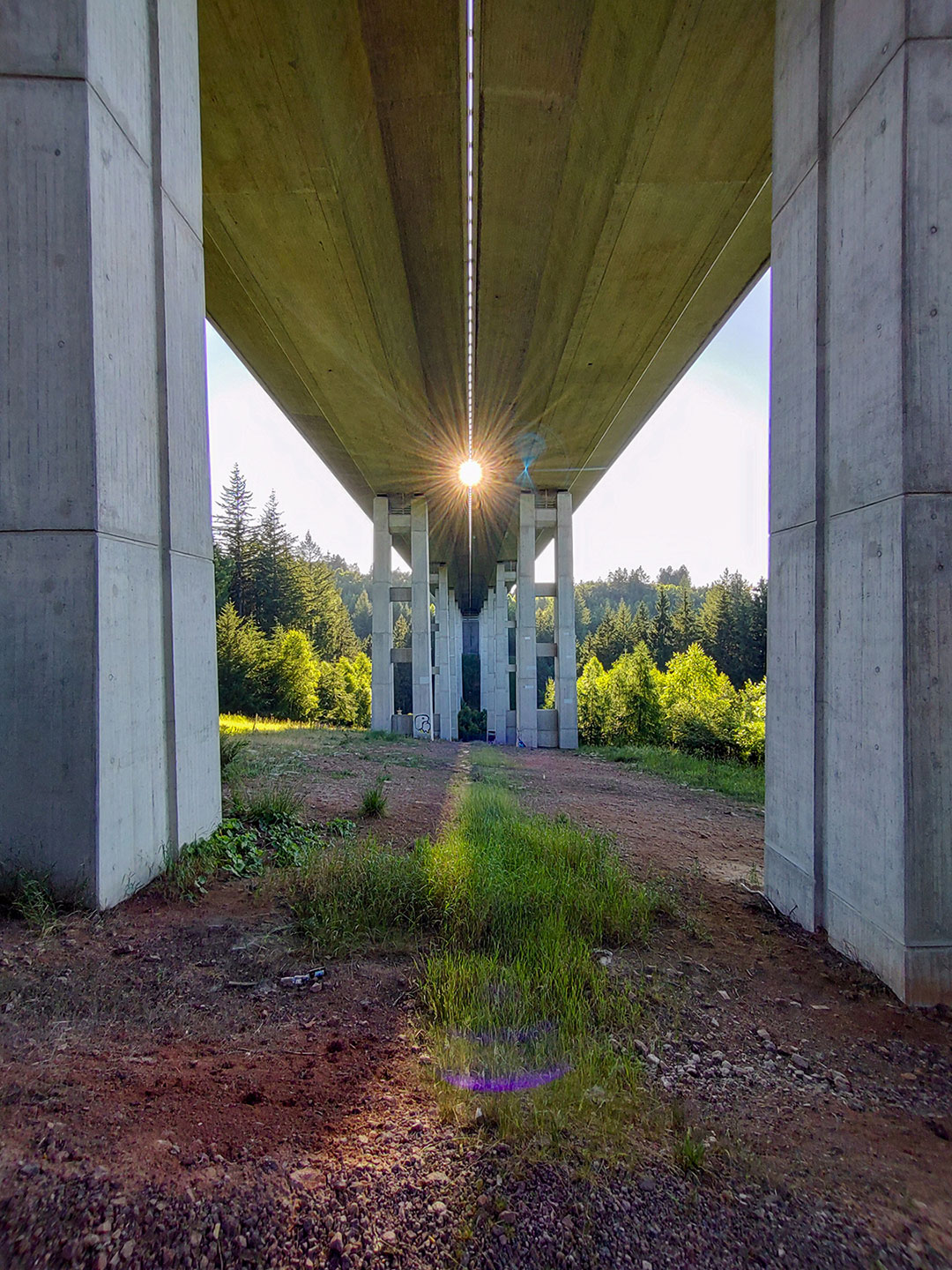Licht im Betonwald (Foto: Michael Stürtz)