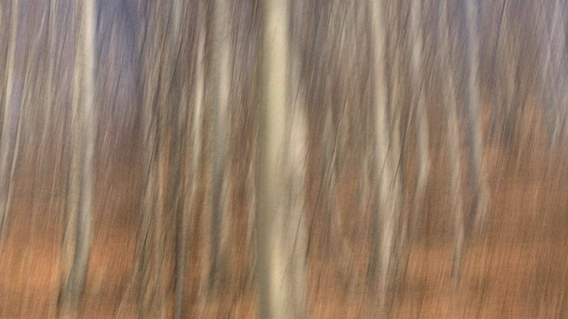 Fotoclub: Mappenbewertung