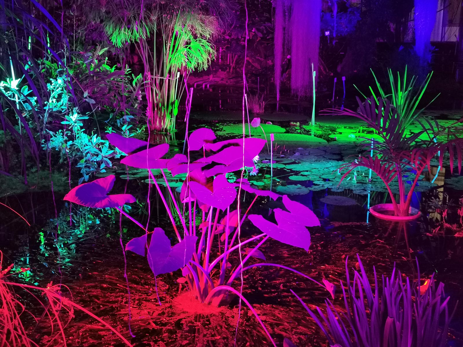 Moderner Dschungel (Foto: Ines Koch)