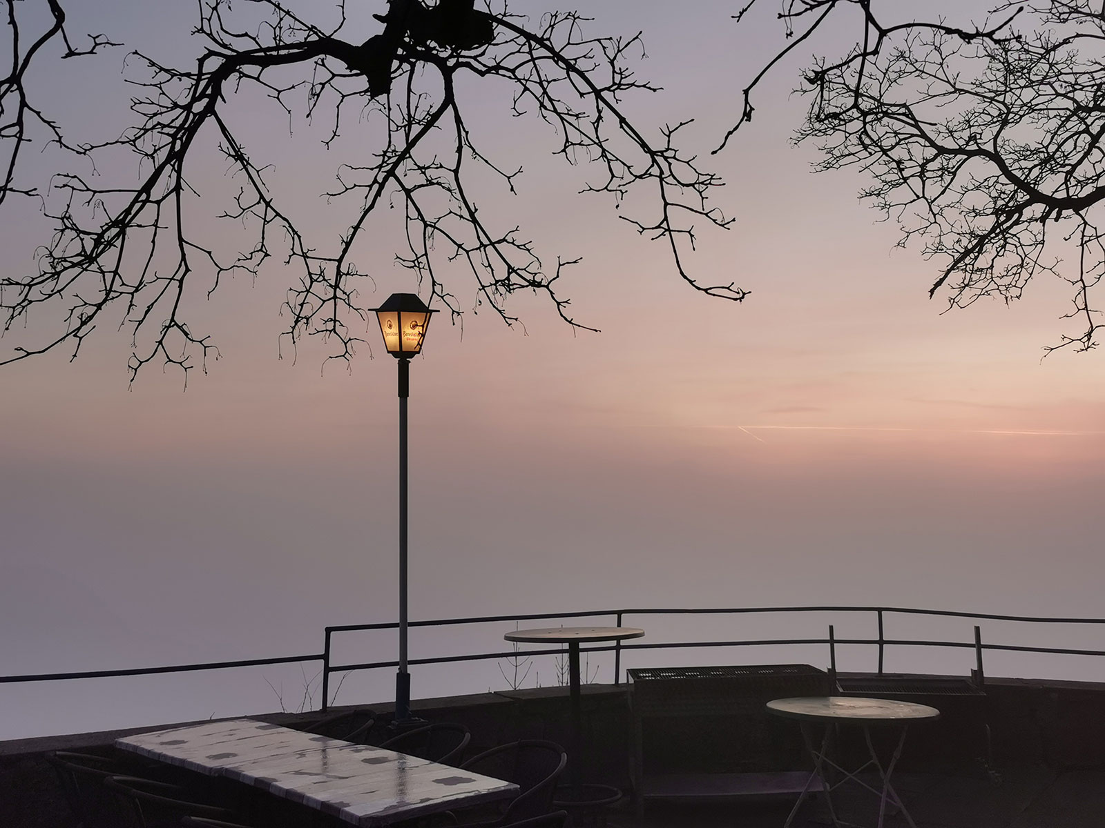 Fotoclub: Gartentreffen