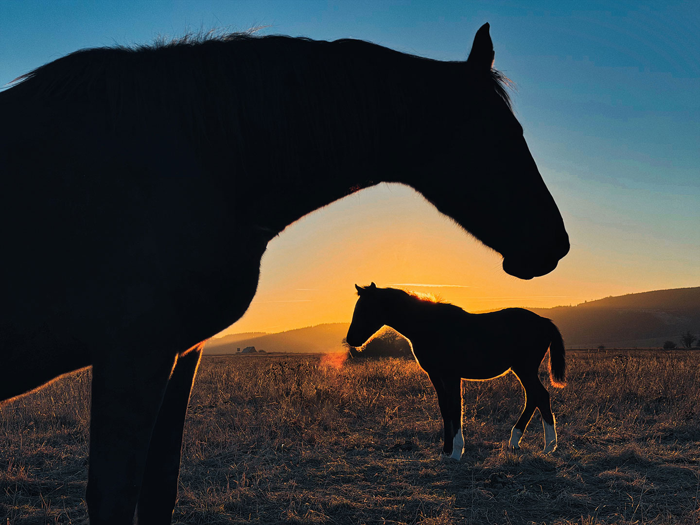 Sonnenuntergang in der Thüringeti (Foto: Manuela Hahnebach)