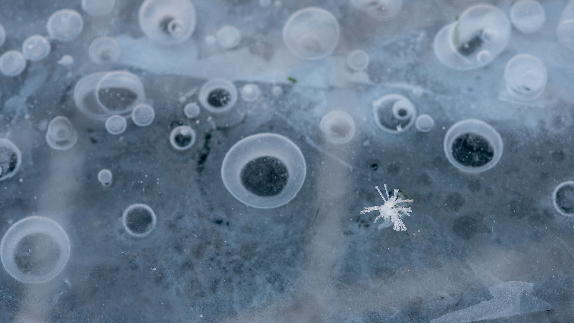 Fotoausstellung "Die Sprache und das Bild des Anderen"