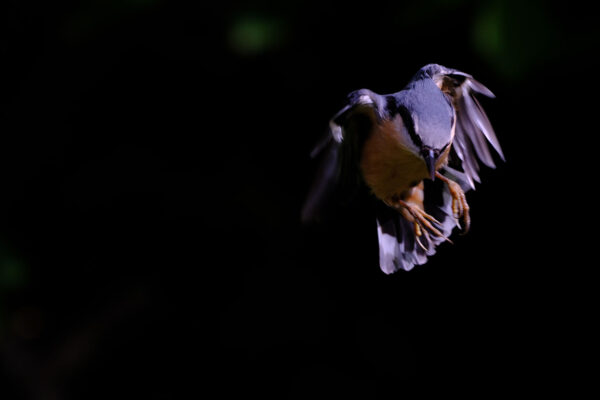 (Foto: Andreas Geier)