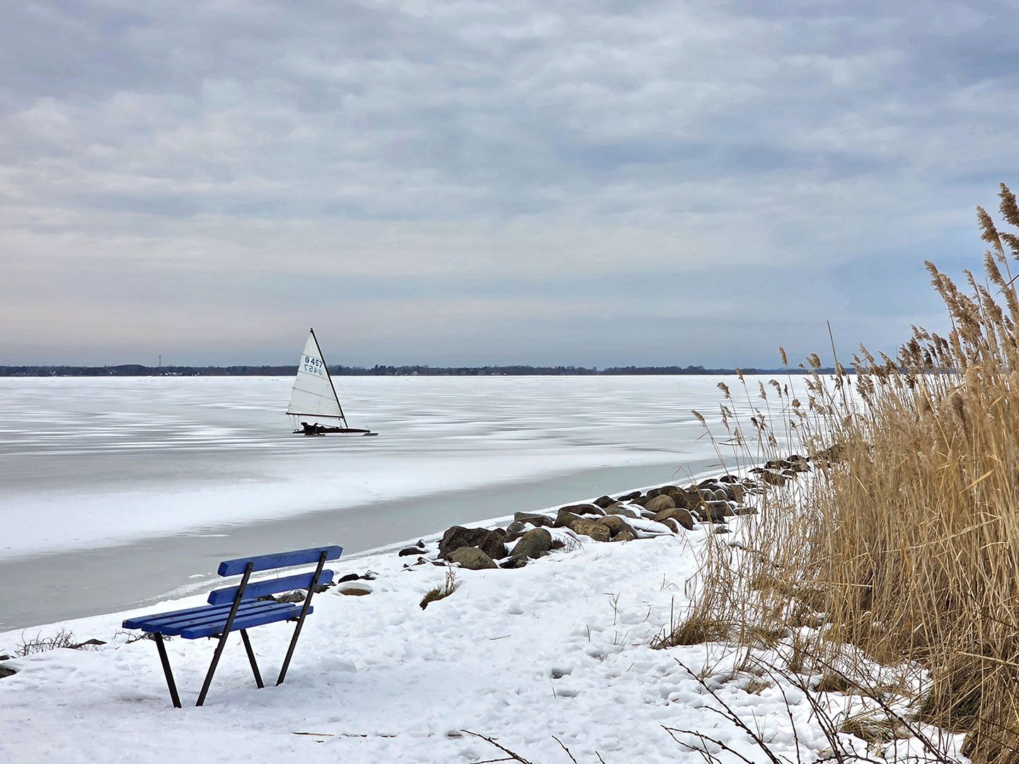 Barther Bodden (Foto: Dietmar Schmidt)
