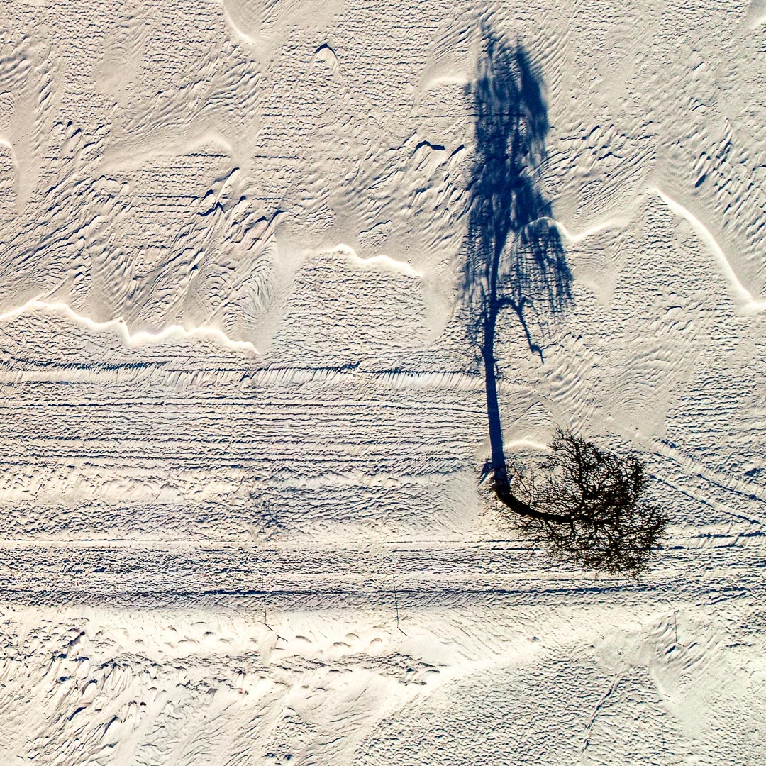 Baum & Struktur (Foto: Uli Pfeufer)