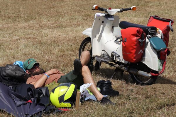 Eine Schwalbe macht doch Sommer (Foto: Claus Gebhardt)