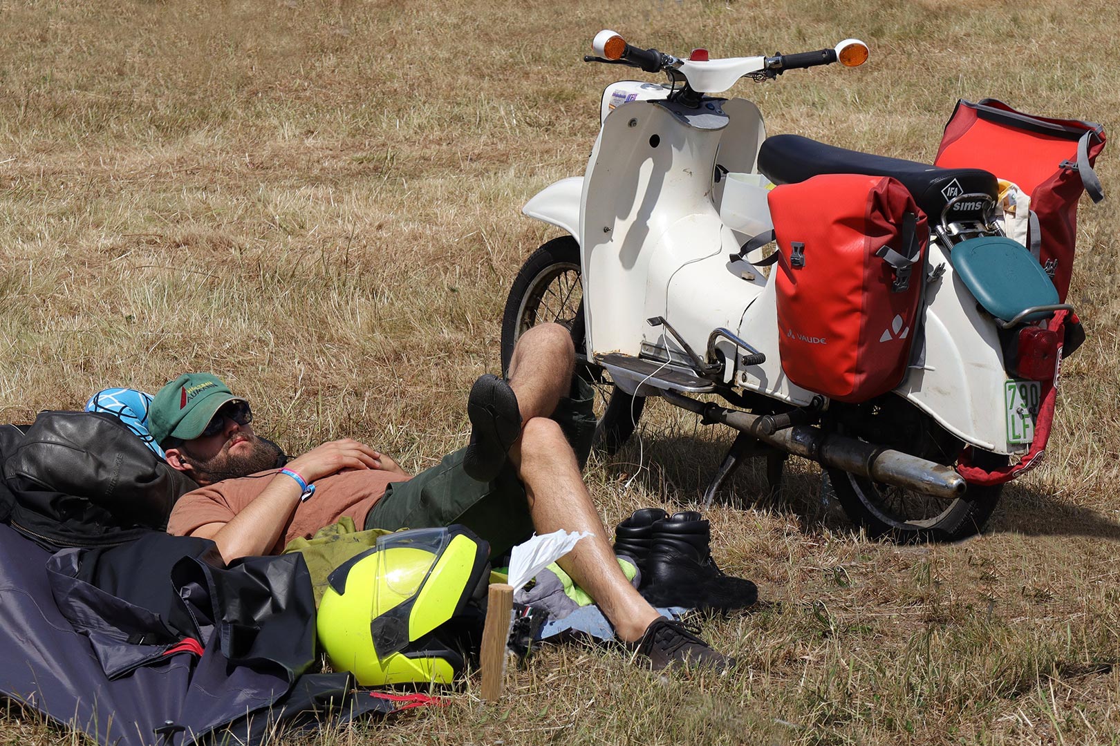 Eine Schwalbe macht doch Sommer (Foto: Claus Gebhardt)