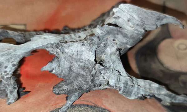 Erinnerungsstück (Foto: Peter Maximilian Schmidt)