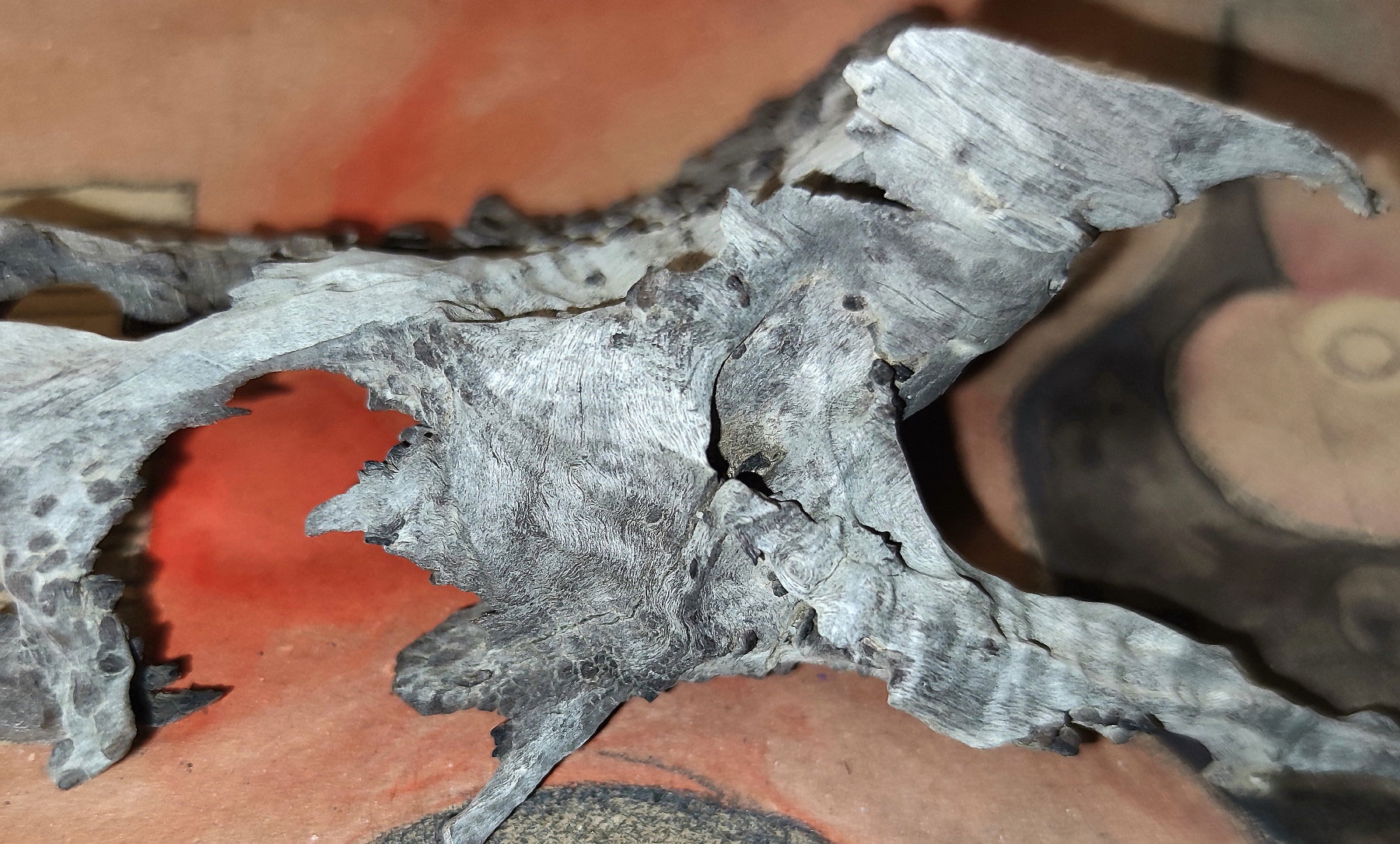 Erinnerungsstück (Foto: Peter Maximilian Schmidt)