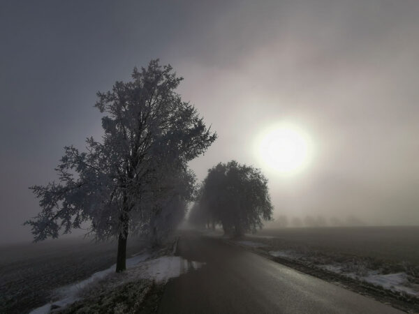Erleuchtung (Foto: Ines Koch)