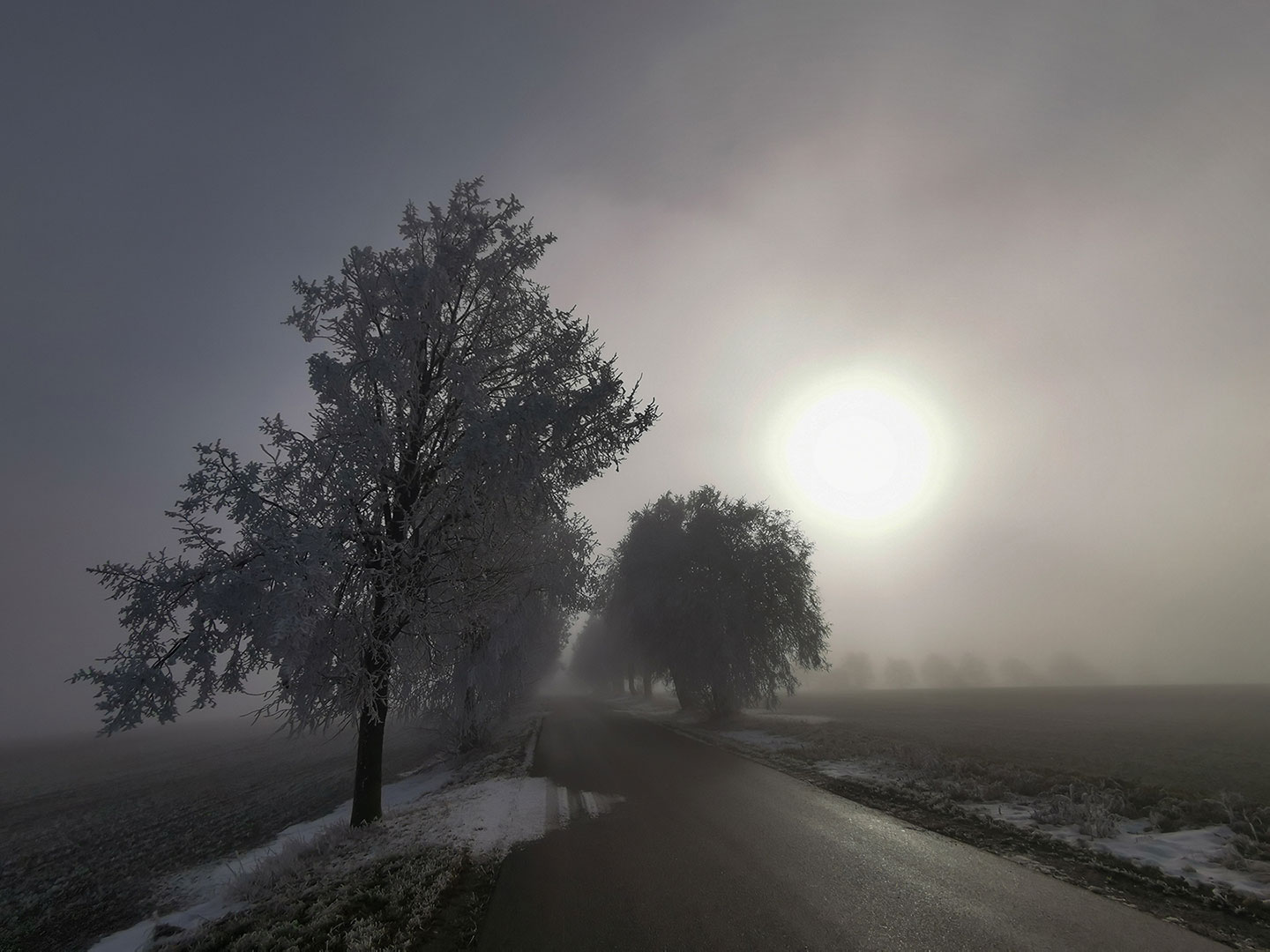 Erleuchtung (Foto: Ines Koch)