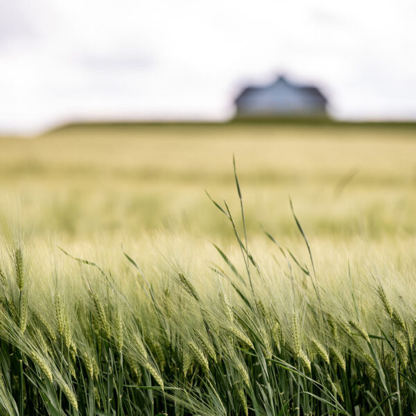 Focus (Foto: Uli Pfeufer)
