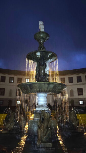 Gegenlicht (Foto: Peter Maximilian Schmidt)