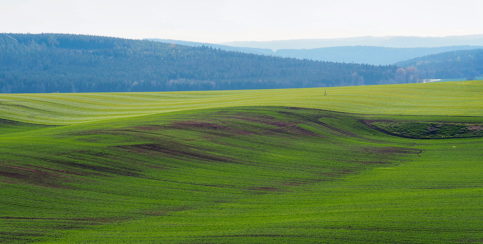 Grüne Welle (Foto: Manuela Hahnebach)
