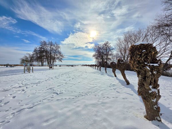 Hafenallee (Foto: Dietmar Schmidt)