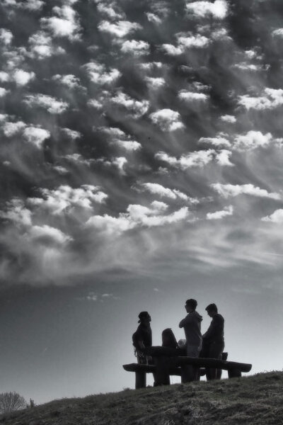 Im Gegenlicht (Foto: Manuela Hahnebach)