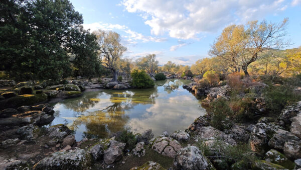 Nuraghenquelle (Foto: Peter Maximilian Schmidt)