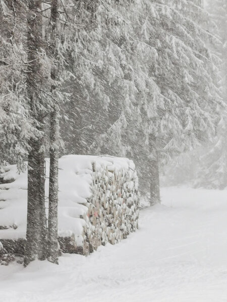 Schneereich (Foto: Ines Koch)