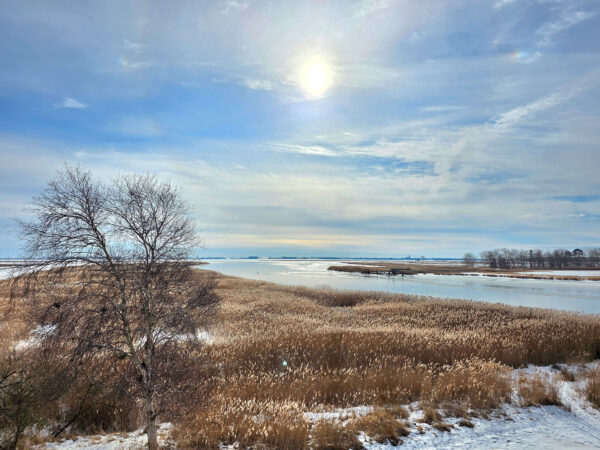 Sundische Wiesen (Foto: Dietmar Schmidt)