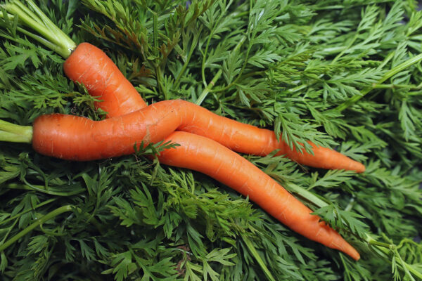 Wie man sich bettet... (Foto: Claus Gebhardt)