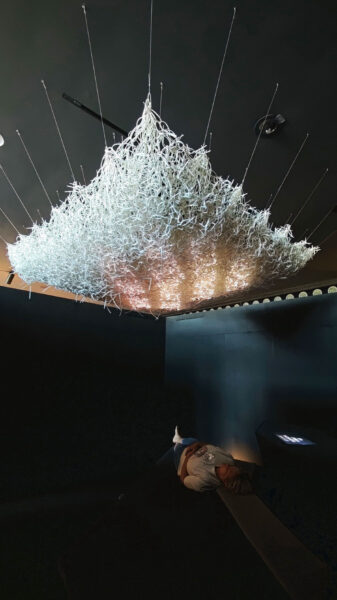 Wolke 7 (Foto: Peter Maximilian Schmidt)