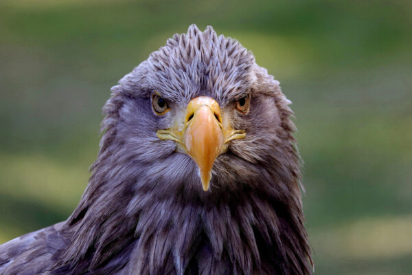 Serie: Beobachter 3 (Foto: Claus Gebhardt)