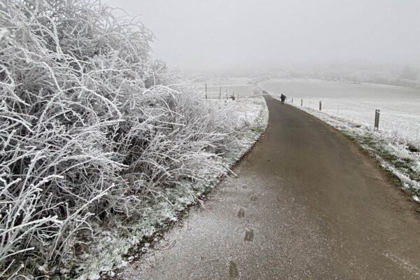 Serie: November auf dem Land 1 (Foto: Andreas Kuhrt)