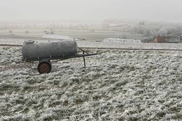 Serie: November auf dem Land 2 (Foto: Andreas Kuhrt)