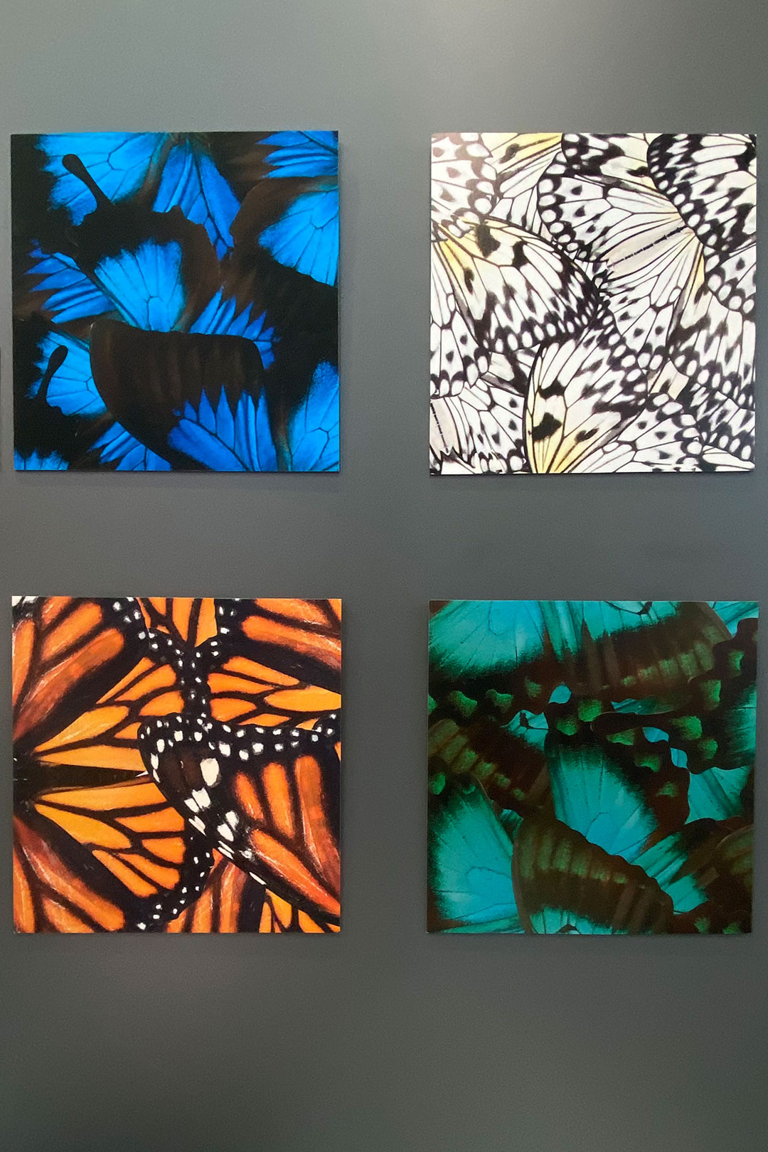 2025-nuernberg-messe-fotofestival-imaging-world-hahnemuehle-IMG_8560ak Imaging World . Fotofestival Nürnberg 2025: Stand Hahnemühle (Foto: Andreas Kuhrt)