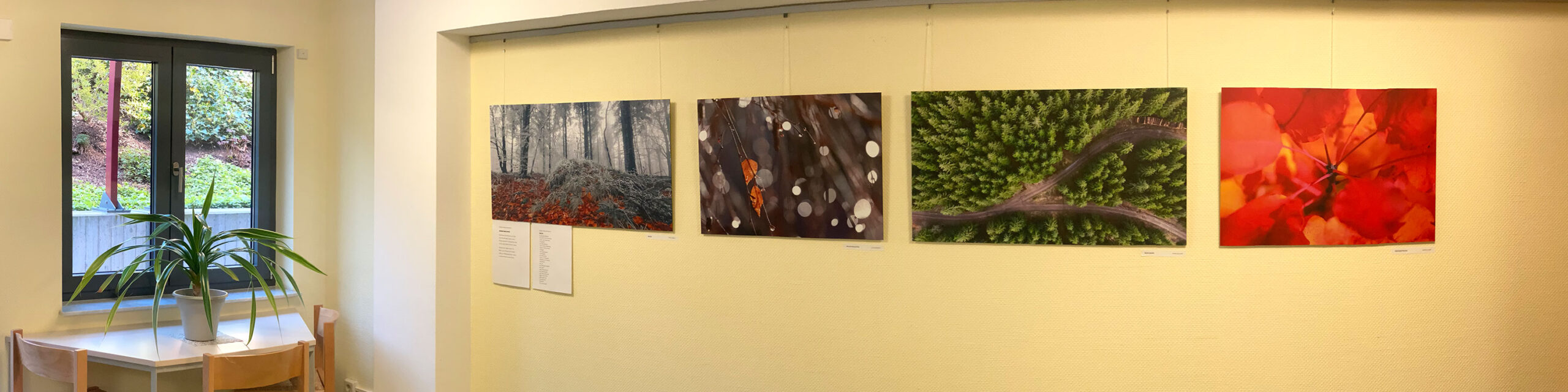 Rennsteig-Galerie Suhl: Fotoclub-Kontrast-Ausstellung "Schau!" 2025 (Foto: Andreas Kuhrt)