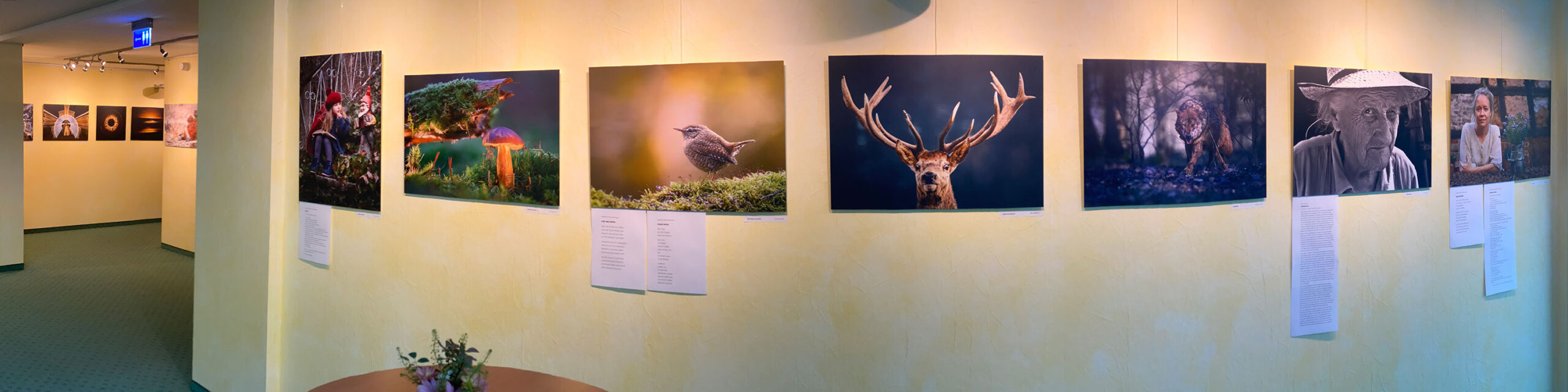 Sommer-Fotoclub bei PMS